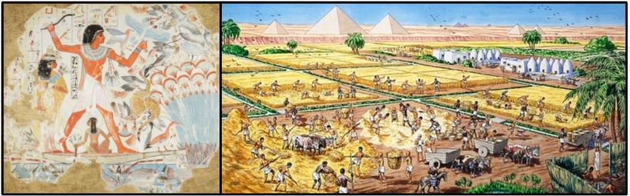 explain how geography affected the development of ancient egypt