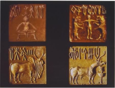 India Indus Valley Civilization Activity - HISTORY'S HISTORIESYou are  history. We are the future.
